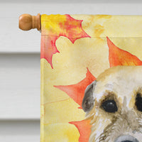 Irish Wolfhound Fall Flag Canvas House Size BB9931CHF