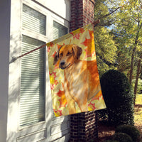 Rhodesian Ridgeback Fall Flag Canvas House Size BB9937CHF