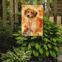 Rhodesian Ridgeback Fall Flag Garden Size BB9937GF