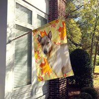 Thai Ridgeback Fall Flag Canvas House Size BB9941CHF