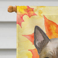 Thai Ridgeback Fall Flag Canvas House Size BB9941CHF