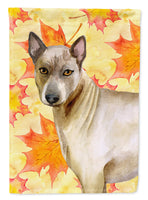 Thai Ridgeback Fall Flag Canvas House Size BB9941CHF