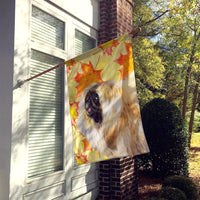 Pekingese Fall Flag Canvas House Size BB9942CHF