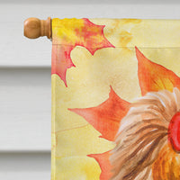 Yorkshire Terrier Fall Flag Canvas House Size BB9946CHF