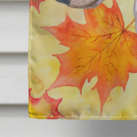 Bull Terrier Fall Flag Canvas House Size BB9954CHF