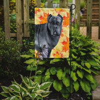 Cane Corso Fall Flag Garden Size BB9955GF