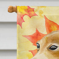 Italian Greyhound Fall Flag Canvas House Size BB9959CHF