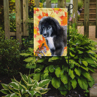 Newfoundland Puppy Fall Flag Garden Size BB9960GF