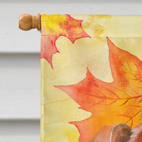 Red Dachshund Fall Flag Canvas House Size BB9968CHF