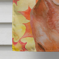 Red Dachshund Fall Flag Canvas House Size BB9968CHF