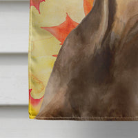 Doberman Pinscher Fall Flag Canvas House Size BB9970CHF