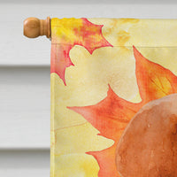 Labrador Retriever Fall Flag Canvas House Size BB9975CHF