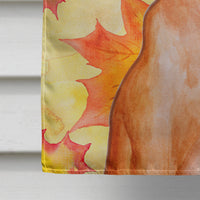 Pharaoh Hound Fall Flag Canvas House Size BB9976CHF