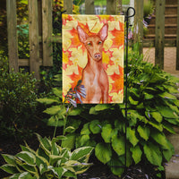 Pharaoh Hound Fall Flag Garden Size BB9976GF