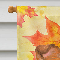 Sheltie Fall Flag Canvas House Size BB9981CHF