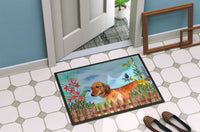 Dachshund Spring Indoor or Outdoor Mat 24x36 CK1214JMAT