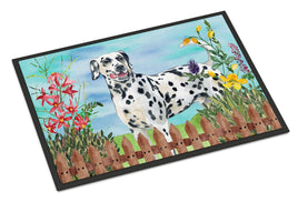 Dalmatian Spring Indoor or Outdoor Mat 24x36 CK1215JMAT