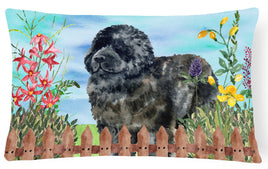 Newfoundland Spring Canvas Fabric Decorative Pillow CK1233PW1216