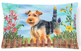 Welsh Terrier Spring Canvas Fabric Decorative Pillow CK1262PW1216