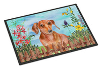 Red Dachshund Spring Indoor or Outdoor Mat 24x36 CK1269JMAT