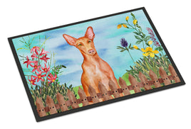 Pharaoh Hound Spring Indoor or Outdoor Mat 18x27 CK1277MAT