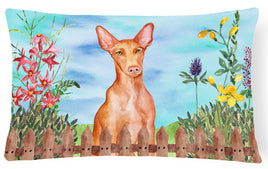 Pharaoh Hound Spring Canvas Fabric Decorative Pillow CK1277PW1216