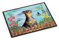 Miniature Pinscher #2 Spring Indoor or Outdoor Mat 24x36 CK1286JMAT