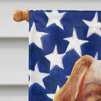 Cavalier Spaniel Patriotic Flag Canvas House Size CK1384CHF