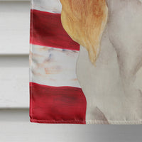 Cavalier Spaniel Patriotic Flag Canvas House Size CK1384CHF