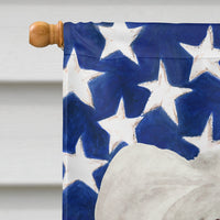 Chinese Crested Patriotic Flag Canvas House Size CK1387CHF