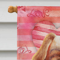 Cavalier Spaniel Love Flag Canvas House Size CK1391CHF