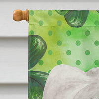 Chinese Crested Shamrocks Flag Canvas House Size CK1401CHF