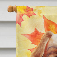 Cavalier Spaniel Fall Flag Canvas House Size CK1405CHF