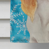 Cavalier Spaniel Winter Flag Canvas House Size CK1412CHF