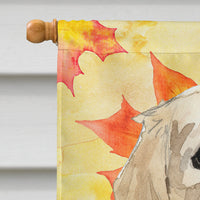 Fall Leaves Golden Retriever Flag Canvas House Size CK1841CHF