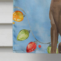 Christmas Lights Chocolate Labrador Retriever Flag Canvas House Size CK2506CHF