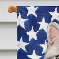 American Shorthair American Flag Flag Canvas House Size CK3029CHF