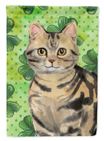 American Shorthair Brown Tabby Shamrock Flag Canvas House Size CK3058CHF