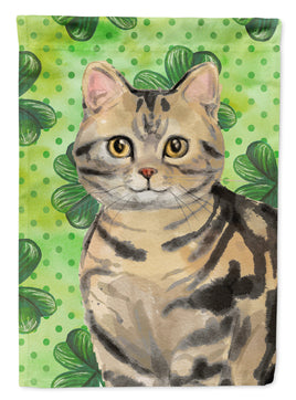 American Shorthair Brown Tabby Shamrock Flag Canvas House Size CK3058CHF