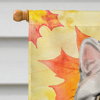 American Shorthair Fall Leaves Flag Canvas House Size CK3074CHF