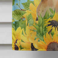 Abyssinian in Sunflowers Flag Canvas House Size CK3147CHF