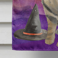 American Shorthair Brown Tabby Halloween Flag Canvas House Size CK3178CHF