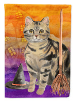 American Shorthair Brown Tabby Halloween Flag Canvas House Size CK3178CHF