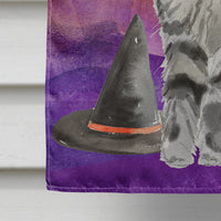 Maine Coon Halloween Flag Canvas House Size CK3184CHF