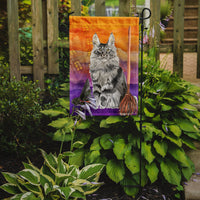 Maine Coon Halloween Flag Garden Size CK3184GF