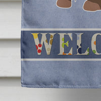 Brown Russian Tsvetnaya Bolonka Lap Dog  Welcome Flag Canvas House Size CK3701CHF