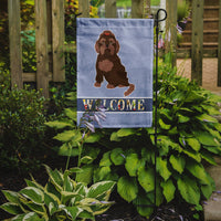 Brown Russian Tsvetnaya Bolonka Lap Dog  Welcome Flag Garden Size CK3701GF