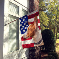 Andalusian Hound Dog American Flag Flag Canvas House Size CK6404CHF