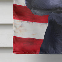 Blue Lacy Dog American Flag Flag Canvas House Size CK6442CHF