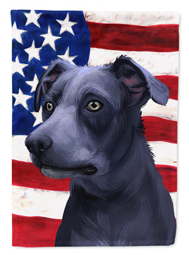 Blue Lacy Dog American Flag Flag Canvas House Size CK6442CHF